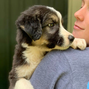 Meet your Posher, Holli